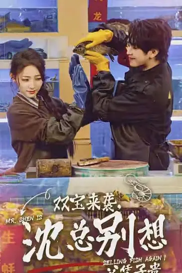 《双宝来袭,沈总别想父凭子贵》封面
