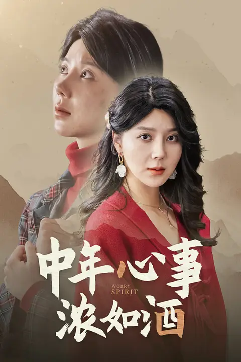 《中年心事浓如酒》封面