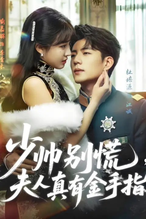 《少帅别慌,夫人真有金手指》封面