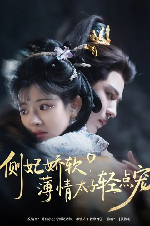 《侧妃娇软薄情太子轻点宠》封面