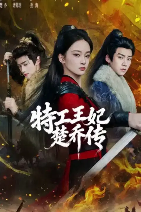 《特工王妃楚乔传》封面