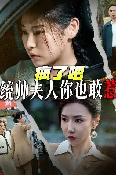 《疯了吧统帅夫人你也敢惹》封面
