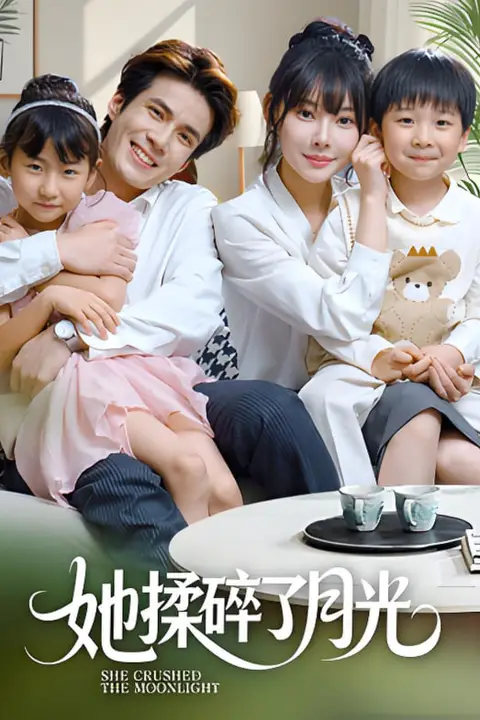 《她揉碎了月光》封面