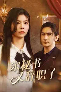 《宋秘书又辞职了》封面