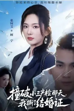 《撞破小三产检那天，我撕了结婚证》封面