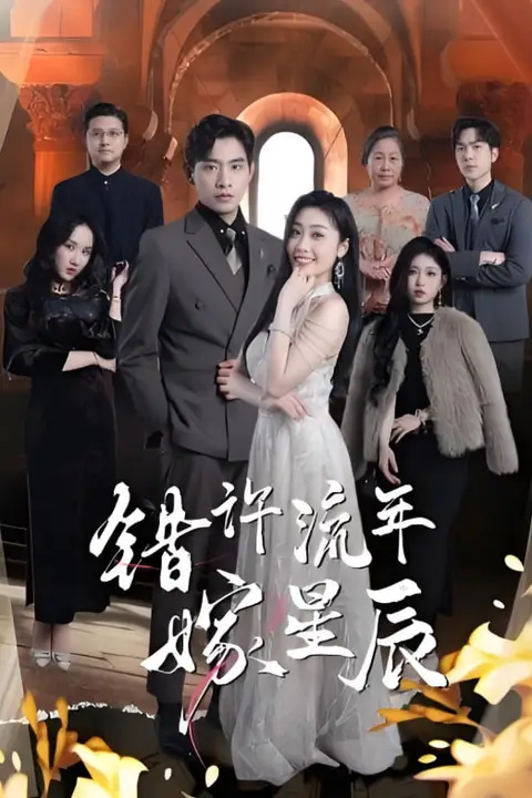 《错许流年嫁星辰》封面