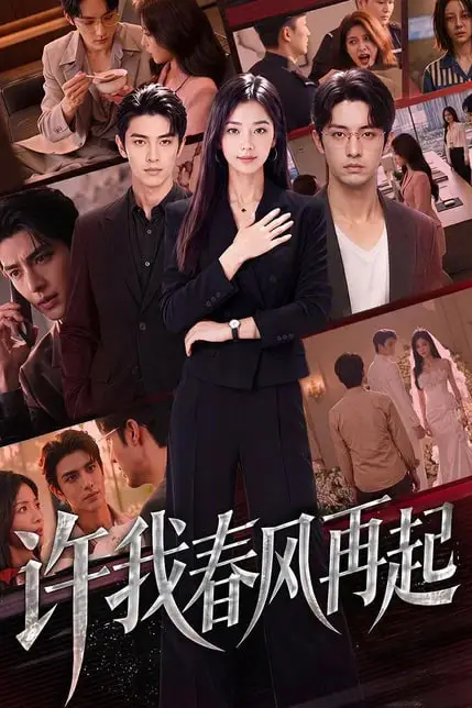 《许我春风再起》封面