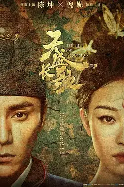 《天盛长歌》封面