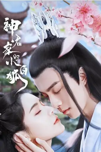 《神君家的小白狐》封面