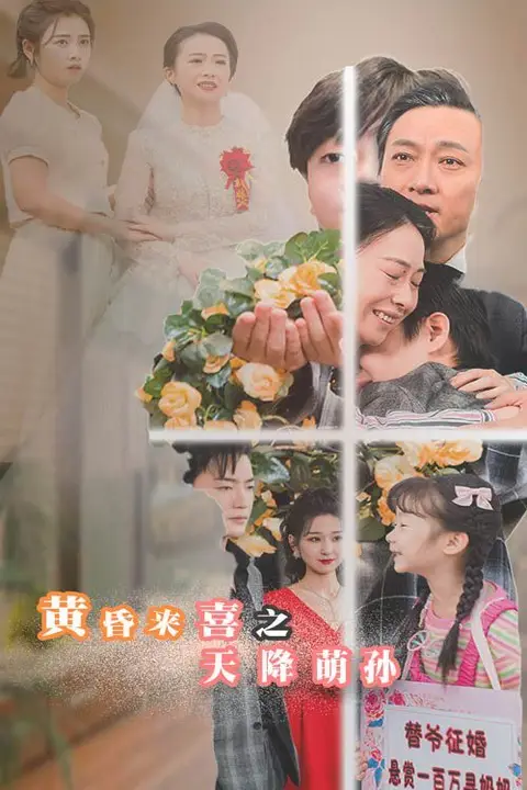 《黄昏来喜之天降萌孙》封面