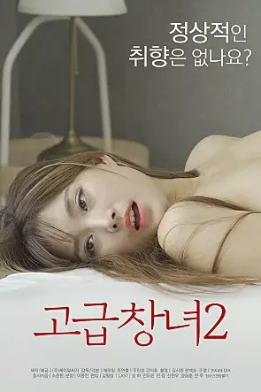 《高级妓女2》封面