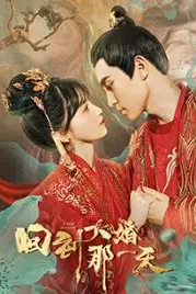 《回到大婚那一天》封面