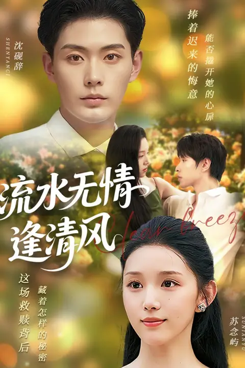 《流水无情逢清风》封面