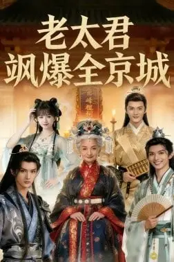 《老太君飒爆全京城》封面