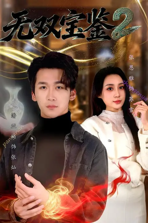 《无双宝鉴2》封面