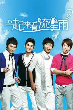 《一起来看流星雨》封面