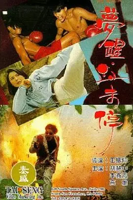 《梦醒血未停》封面