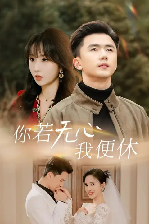 《你若无心我便休》封面