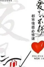 《爱可以不伤》封面