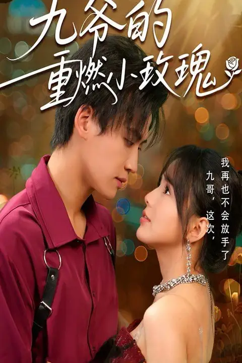 《九爷的重燃小玫瑰》封面