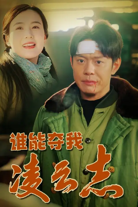 《谁能夺我凌云志》封面