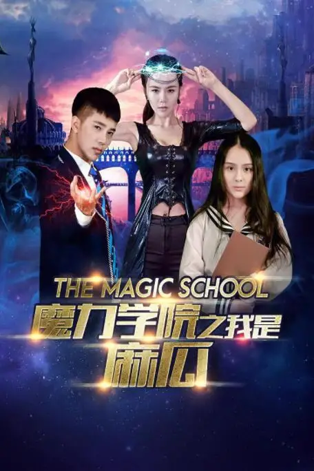 《魔力学院之我是麻瓜》封面