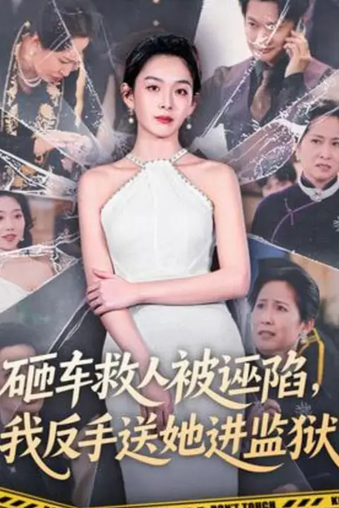 《砸车救人被诬陷,我反手送她进监狱》封面