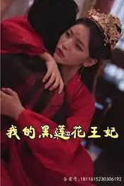 《我的黑莲花王妃》封面