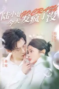 《陆小姐今天发疯了没》封面