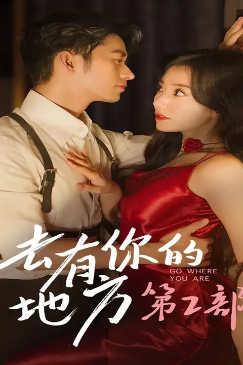 《去有你的地方第2部》封面