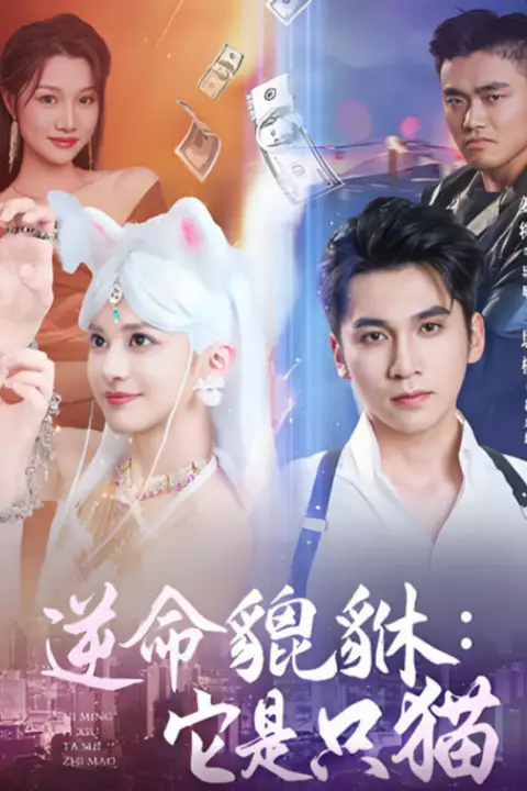 《逆命貔貅它是只猫》封面