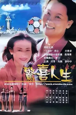 《惊喜人生》封面