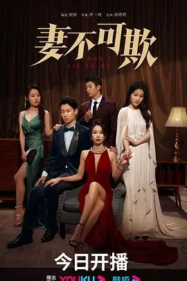 《妻不可欺》封面