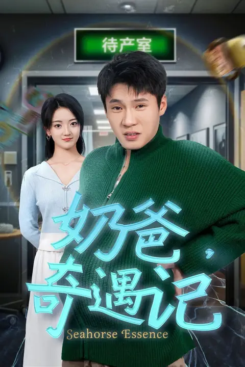 《奶爸奇遇记》封面