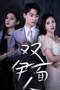 《双面伊人》封面