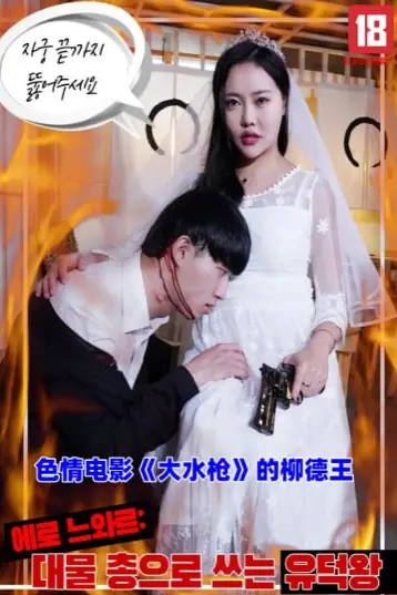 《色情电影《大水枪》的柳德王》封面