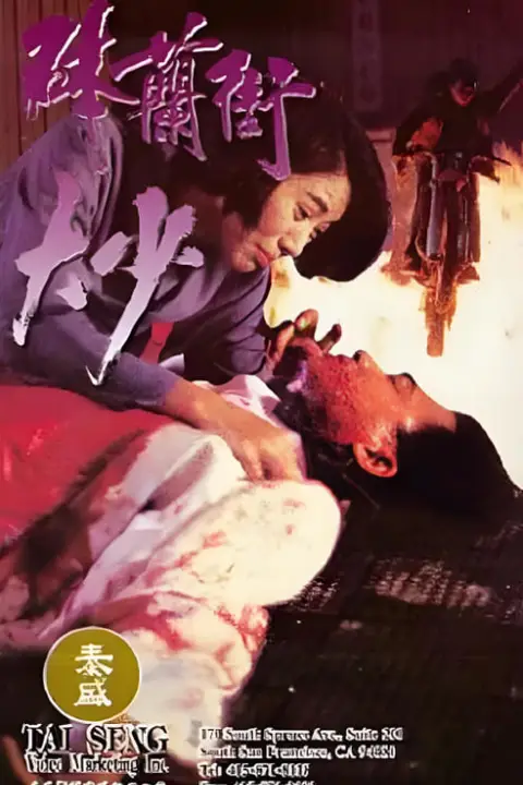 《砵兰街大少》封面