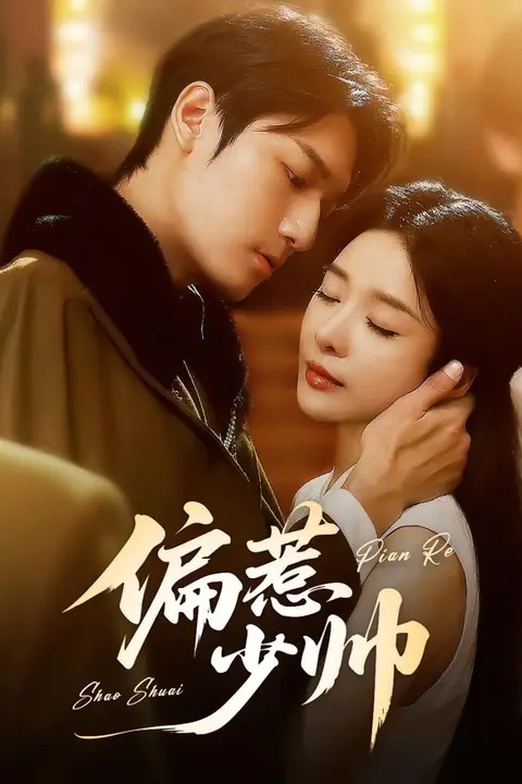 《偏惹少帅》封面