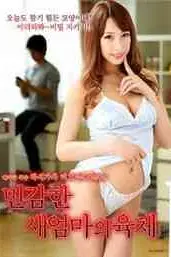 《一个敏感的新娘的肉体》封面