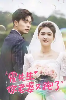 《霍先生你老婆又跑了》封面