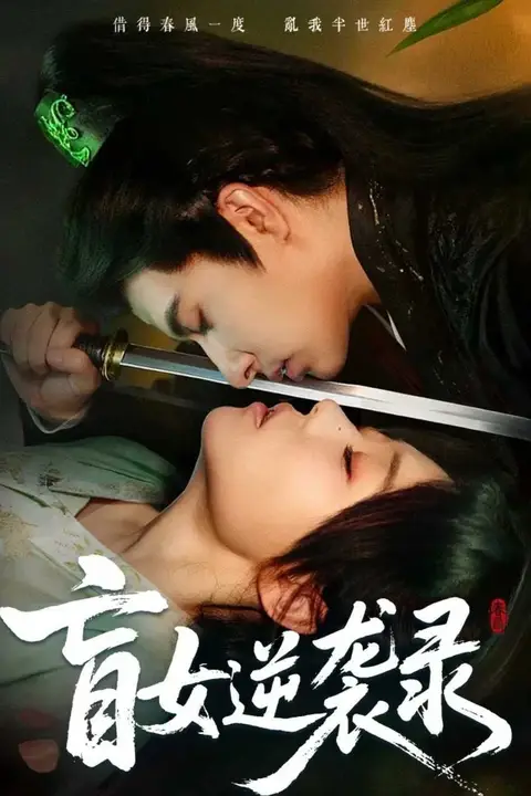 《盲女逆袭录》封面