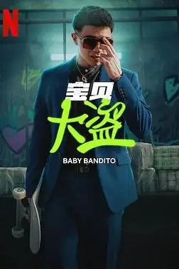 《宝贝大盗》封面