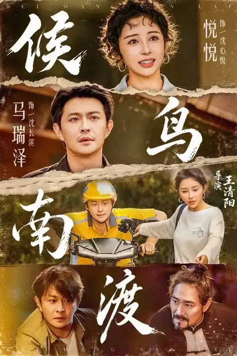 《候鸟南渡》封面