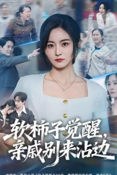 《软柿子觉醒，亲戚别来沾边》封面