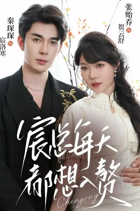 《宸总每天都想入赘》封面