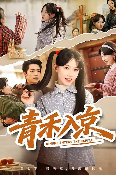 《青禾入京》封面
