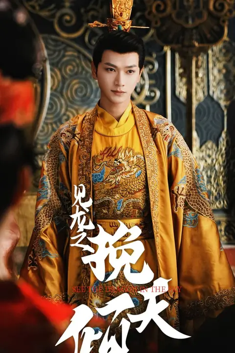 《见龙之挽天倾》封面