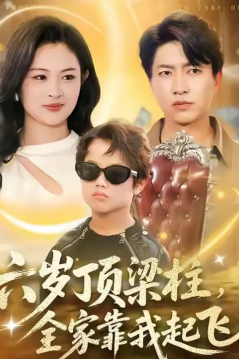 《六岁顶梁柱,全家靠我起飞》封面