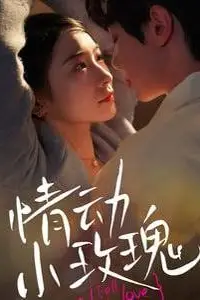 《情动小玫瑰》封面