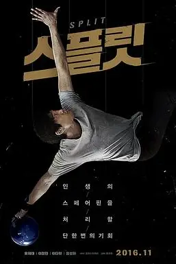 《分瓶》封面